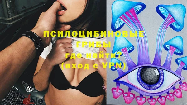 первитин Алексин
