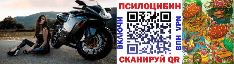 Псилоцибиновые грибы Psilocybe  Неман 