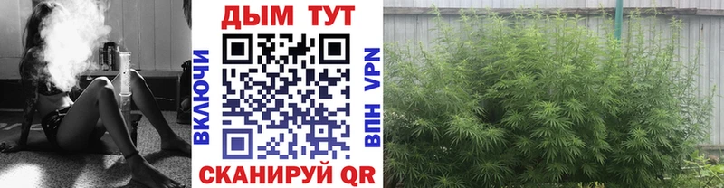 Бошки марихуана сатива  что такое   Неман 